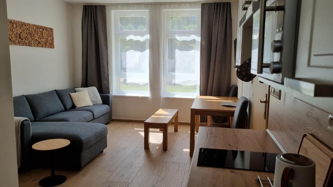 Apartmany Mlynska Horní Maršov エクステリア 写真